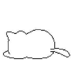 A cute cat gif